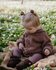 Wollen Vestje Quinn - Rose Brown met capuchon_